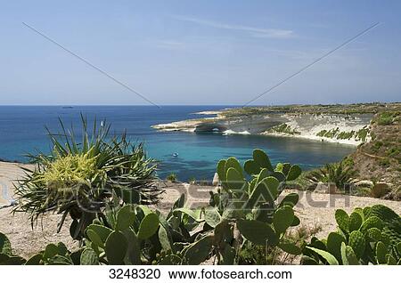 Stock Image - Peter's Pool, Malta . Fotosearch