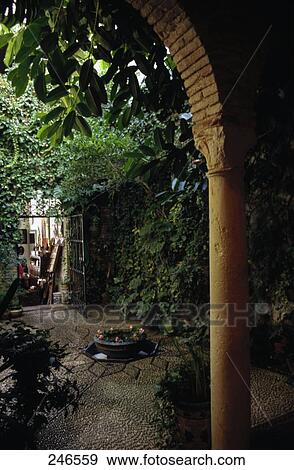 Stock Photo - Plants in courtyard of building, Old Town, Cordoba, Andalusia, Spain . Fotosearch