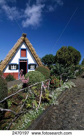 Plants in front of traditional thatched house, Santana, Madeira, Portugal View Large Photo Image Stock Photo - Plants in front of traditional thatched house, Santana, Madeira, Portugal . Fotosearch