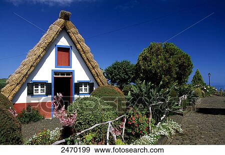 Stock Photo - Plants in front of traditional thatched house, Santana, Madeira, Portugal . Fotosearch
