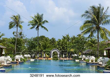 Pool and palms, Ko Samui, Thailand View Large Photo Image Stock Image - Pool and palms, Ko Samui, Thailand . Fotosearch