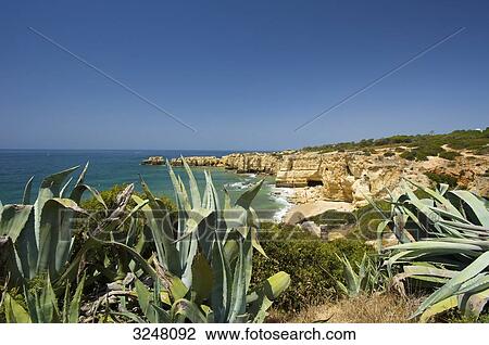 Praia de Coelho, Algarve, Portugal View Large Photo Image Stock Image - Praia de Coelho, Algarve, Portugal . Fotosearch