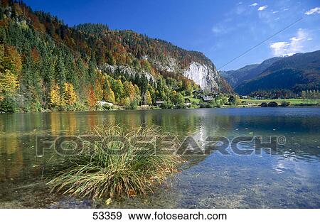 Reflection of trees in lake, Grundelsee, Austria View Large Photo Image Stock Photo - Reflection of trees in lake, Grundelsee, Austria . Fotosearch