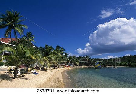 Stock Image - Resort at beachfront, Bolongo Beach Resort, St Thomas, Leeward Islands, US Virgin Islands . Fotosearch