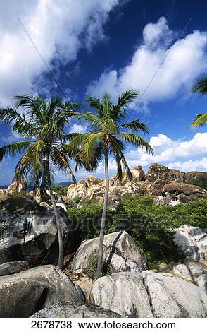 Rocks on coast, The Baths, Virgin Gorda, British Virgin Islands View Large Photo Image Stock Photo - Rocks on coast, The Baths, Virgin Gorda, British Virgin Islands . Fotosearch