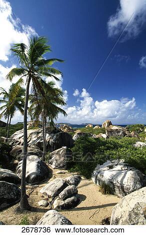 Stock Photograph - Rocks on coast, The Baths, Virgin Gorda, British Virgin Islands . Fotosearch