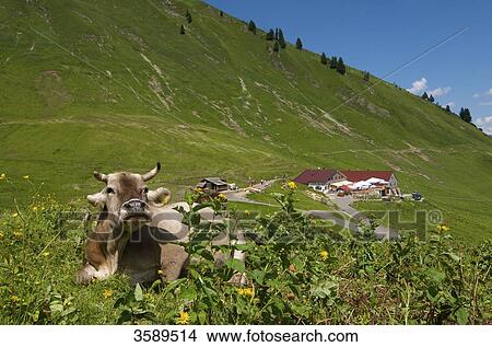 Schlappoltalm, Allgaeu Alps, Bavaria, Germany, Europe View Large Photo Image Picture - Schlappoltalm, Allgaeu Alps, Bavaria, Germany, Europe . Fotosearch