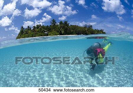 Scuba diver swimming underwater, Maldives View Large Photo Image Picture - Scuba diver swimming underwater, Maldives . Fotosearch