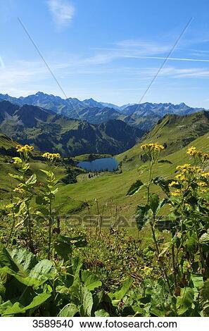 Stock Image - Seealpsee, Laufbacher-Eck-Weg, Nebelhorn, Allgaeu Alps, Bavaria, Germany, Europe . Fotosearch