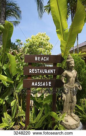 Signpost and statue, Ko Samui, Thailand View Large Photo Image Stock Image - Signpost and statue, Ko Samui, Thailand . Fotosearch