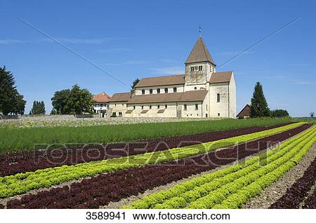 Stock Image - St. Georg, Insel Reichenau, Baden-Württemberg, Germany, Europe . Fotosearch