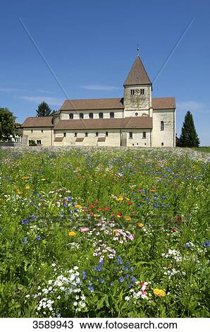 St. Georg, Insel Reichenau, Baden-Württemberg, Germany, Europe View Large Photo Image Stock Image - St. Georg, Insel Reichenau, Baden-Württemberg, Germany, Europe . Fotosearch