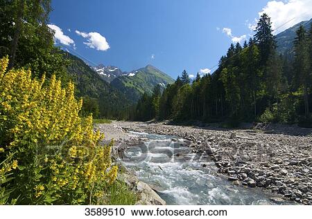 Stillachtal, Allgaeu, Bavaria, Germany, Europe View Large Photo Image Stock Image - Stillachtal, Allgaeu, Bavaria, Germany, Europe . Fotosearch