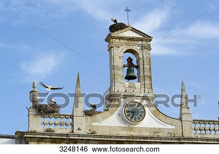 Stock Photograph - Stork's nest, Faro, Algarve, Portugal . Fotosearch