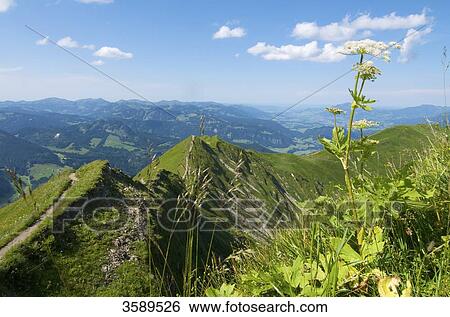 Summit of Fellhorn, Allgaeu Alps, Bavaria, Germany, Europe View Large Photo Image Stock Photograph - Summit of Fellhorn, Allgaeu Alps, Bavaria, Germany, Europe . Fotosearch