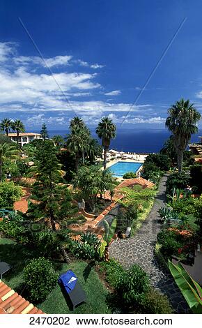 Swimming pool in hotel, Quinta Splendida, Canico, Santa Cruz, Madeira, Portugal View Large Photo Image Stock Image - Swimming pool in hotel, Quinta Splendida, Canico, Santa Cruz, Madeira, Portugal . Fotosearch