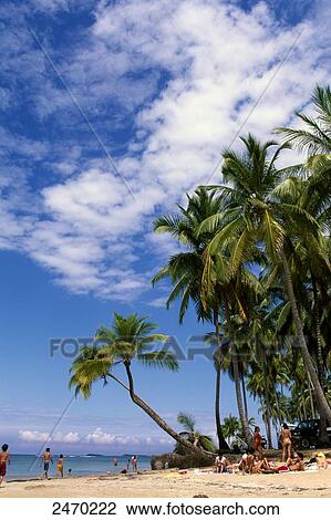 Stock Image - Tourist near palm trees on beach, Las Terrenas, Samana Province, Dominican Republic . Fotosearch