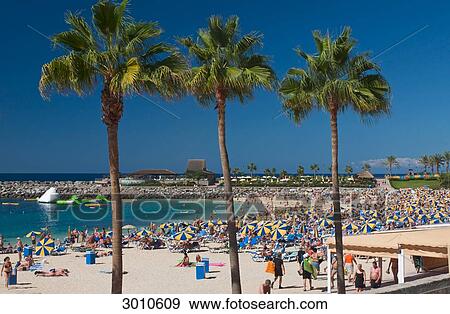 Stock Photo - Tourists at the Playa de Amadores, three palms in the foreground, Puerto Rico, Grand Canary, Canary Islands, Spain . Fotosearch