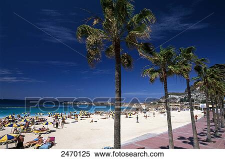 Stock Photography - Tourists on beach, Playa de Amadores, Gran Canaria, Canary Islands, Spain . Fotosearch