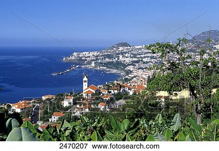 Stock Photo - Town at coast, Funchal, Madeira, Portugal . Fotosearch