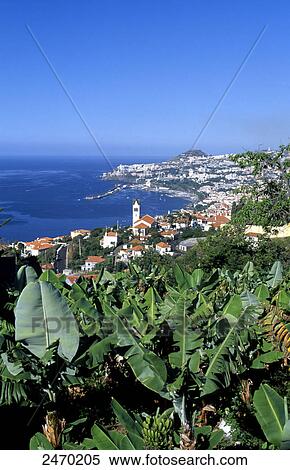 Town at coast, Funchal, Madeira, Portugal View Large Photo Image Stock Photography - Town at coast, Funchal, Madeira, Portugal . Fotosearch