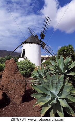 Traditional windmill in field, Molino de Antigua, Fuerteventura, Canary Islands, Spain View Large Photo Image Picture - Traditional windmill in field, Molino de Antigua, Fuerteventura, Canary Islands, Spain . Fotosearch