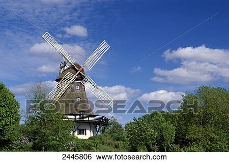 Stock Photograph - Traditional windmill surrounded by trees, Pommerby, Angeln, Schleswig-Holstein, Germany . Fotosearch