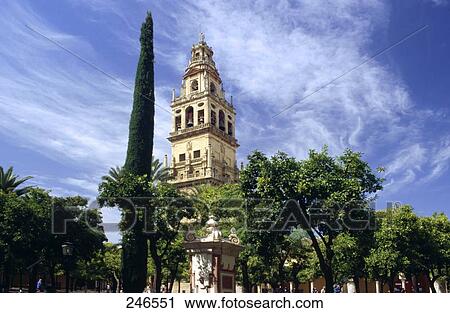 Trees in front of mosque, Mezquita Catedral de Cordoba, Cordoba, Andalusia, Spain View Large Photo Image Stock Image - Trees in front of mosque, Mezquita Catedral de Cordoba, Cordoba, Andalusia, Spain . Fotosearch