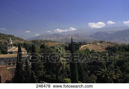Trees in front of palace, Alhambra, Granada, Andalusia, Spain View Large Photo Image Stock Photo - Trees in front of palace, Alhambra, Granada, Andalusia, Spain . Fotosearch