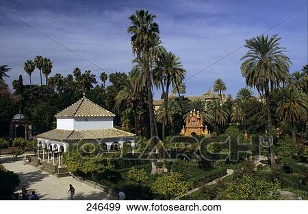 Stock Photo - Trees in park of palace, Alcazar Palace, Seville, Andalusia, Spain . Fotosearch