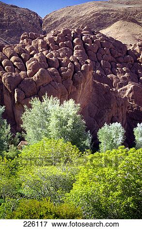 Stock Photo - Trees near rock formation on arid landscape, Morocco . Fotosearch