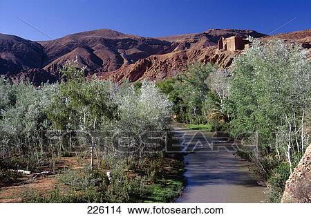 Picture - Trees on both sides of stream flowing through landscape, Dades Valley, Morocco . Fotosearch