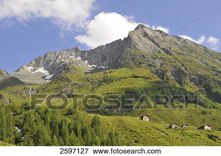 Trees on mountain, Trentino-Alto Adige, Italy View Large Photo Image Stock Photo - Trees on mountain, Trentino-Alto Adige, Italy . Fotosearch