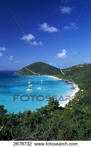 Stock Image - Trees on the beach, Jost Van Dyke, British Virgin Islands . Fotosearch