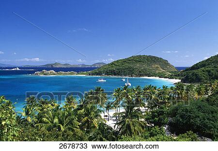 Trees on the beach, Peter Island, British Virgin Islands View Large Photo Image Stock Image - Trees on the beach, Peter Island, British Virgin Islands . Fotosearch