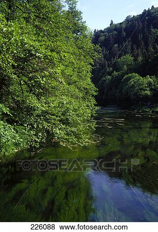 Trees reflected in lake, Bode River, Treseburg, Germany View Large Photo Image Stock Photo - Trees reflected in lake, Bode River, Treseburg, Germany . Fotosearch