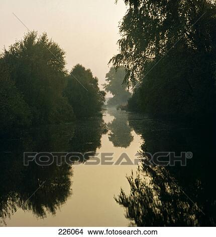 Picture - Trees reflected in lake, Germany . Fotosearch
