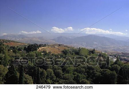 Stock Photo - Trees with mountain range in background, Granada, Andalusia, Spain . Fotosearch