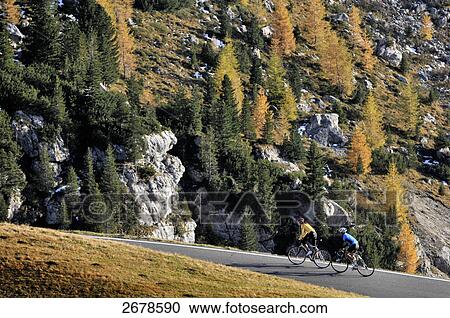 Two mountain bikers cycling together, Trentino Alto Adige, Dolomites, Italy View Large Photo Image Stock Image - Two mountain bikers cycling together, Trentino Alto Adige, Dolomites, Italy . Fotosearch