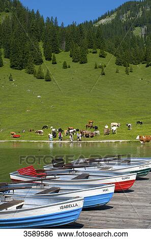Stock Photograph - Vilsalpsee at Nature Protection Area Vilsalpsee, Tyrol, Austria, Europe . Fotosearch
