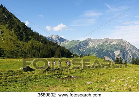 Stock Image - Willersalpe, Allgaeu Alps, Bavaria, Germany, Europe . Fotosearch