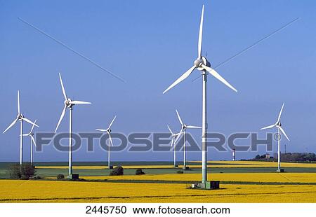 Wind turbines in field, Schleswig-Holstein, Germany View Large Photo Image Stock Image - Wind turbines in field, Schleswig-Holstein, Germany . Fotosearch