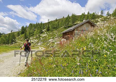 Woman hiking on rural path, South Tyrol, Italy View Large Photo Image Stock Photo - Woman hiking on rural path, South Tyrol, Italy . Fotosearch