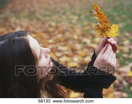 Woman holding maple leaf View Large Photo Image Stock Image - Woman holding maple leaf . Fotosearch