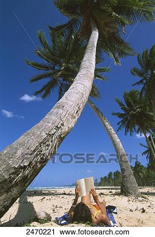 Woman reading book on beach, Hispaniola, Greater Antilles, El Rincon, Samana, Dominican Republic View Large Photo Image Stock Image - Woman reading book on beach, Hispaniola, Greater Antilles, El Rincon, Samana, Dominican Republic . Fotosearch