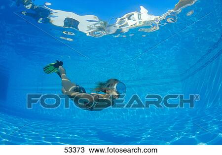 Stock Image - Young woman diving in swimming pool, underwater view . Fotosearch
