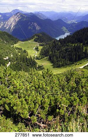 Aerial view of lake surrounded by mountains, Walchensee Lake, Bavaria, Germany View Large Photo Image Stock Image - Aerial view of lake surrounded by mountains, Walchensee Lake, Bavaria, Germany . Fotosearch