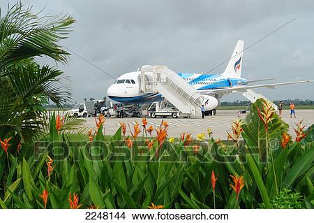 Airplane at airport, Siem Reap, Cambodia View Large Photo Image Picture - Airplane at airport, Siem Reap, Cambodia . Fotosearch
