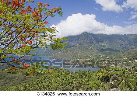Atuona, Hiva Oa, French Polynesia View Large Photo Image Stock Photograph - Atuona, Hiva Oa, French Polynesia . Fotosearch