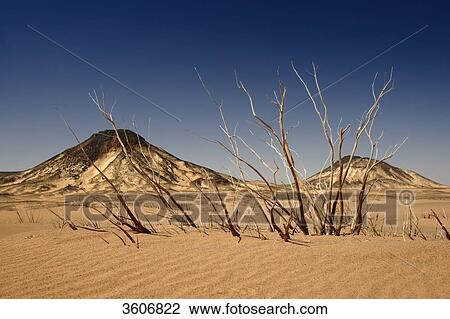 Black Desert, Libyan Desert, Egypt, Africa View Large Photo Image Stock Image - Black Desert, Libyan Desert, Egypt, Africa . Fotosearch